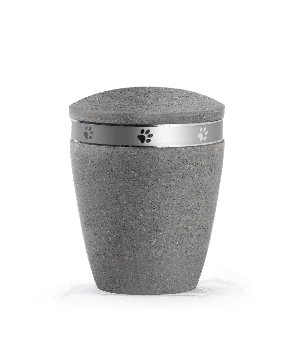 Pilka urna su sidabrine letenėlių juostele (1,5 l)